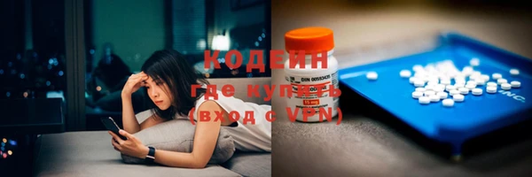 хмурый Алзамай