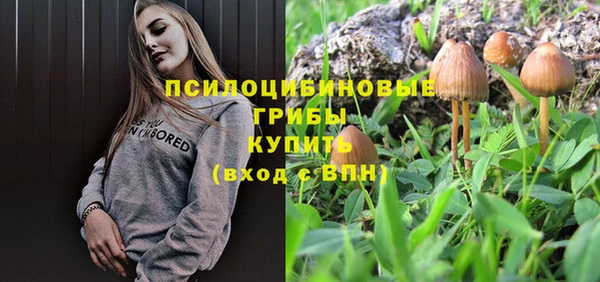 МДПВ Арсеньев