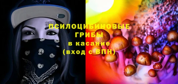 хмурый Алзамай