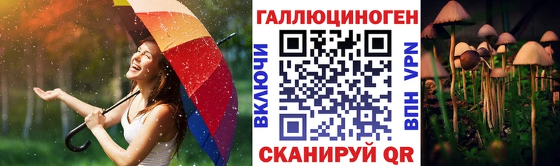 KRAKEN вход  Новомосковск  Псилоцибиновые грибы MAGIC MUSHROOMS  где купить  